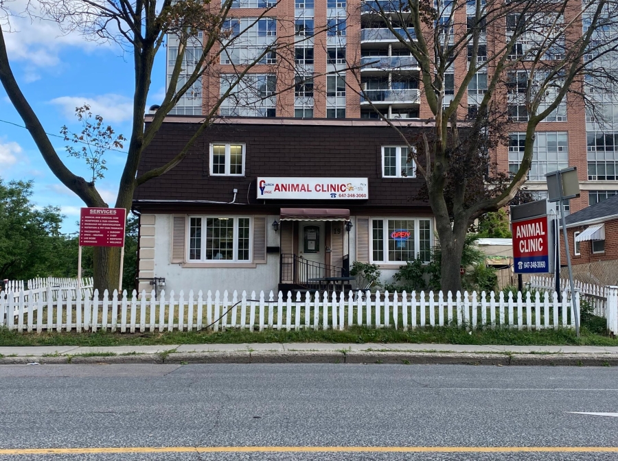 Street facing side of 19 Church Avenue, 2022. (Image Courtesy of Jonathan Bonfada)